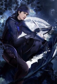 朱雀聖傳之聖女淚
